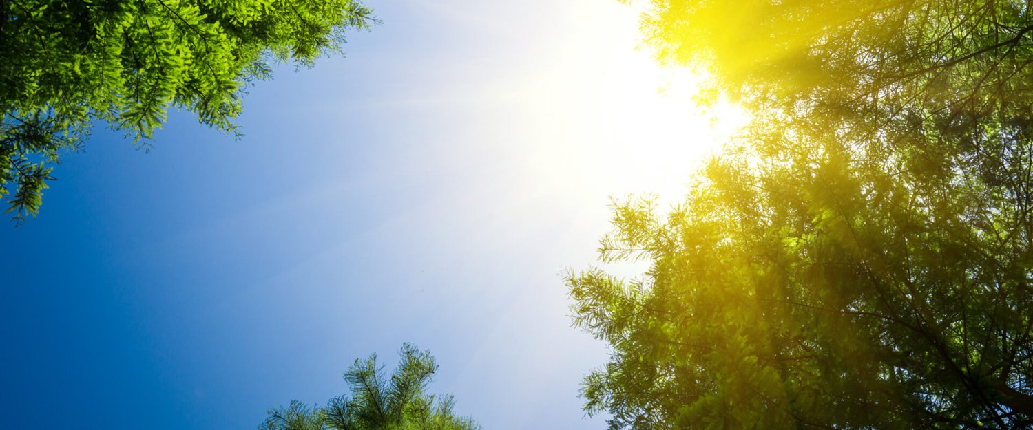 Cahaya Ilahi/Freepik