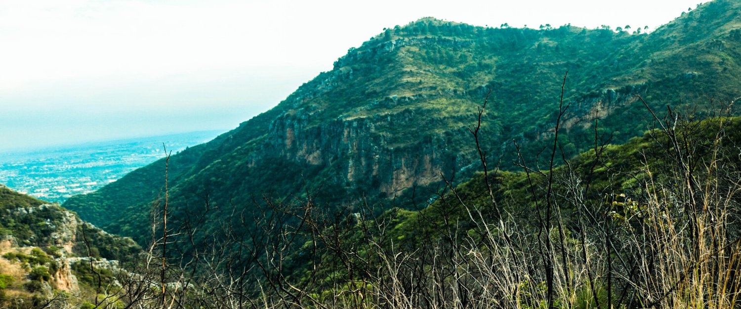 Keesaan Allah/Freepik